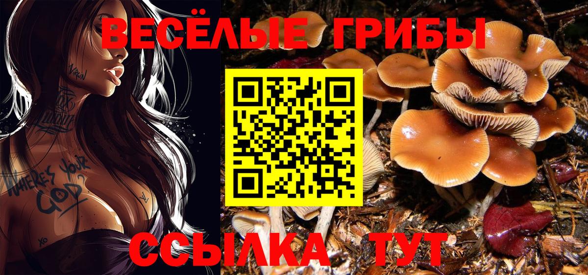 Псилоцибиновые грибы MAGIC MUSHROOMS  Галлюциногенные грибы Psilocybe  Нововоронеж  наркота  Вход с VPN 