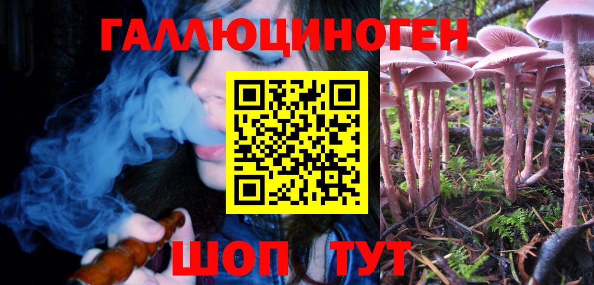 Псилоцибиновые грибы мухоморы Нововоронеж